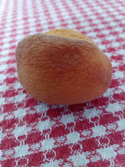 An apricot on a red and white tablecloth