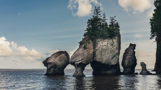 la-baie-de-fundy-et-la-plus-grande-maree-du-monde-hopewell-rock-1