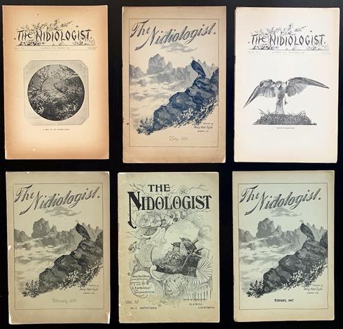 A group of six periodicals dated from 1894 to 1897, entitled 'The Nidologist' (also spelled Nidiologist). They are about the study of birds' nests and their eggs. The covers show black & white engravings of various birds and their nests.