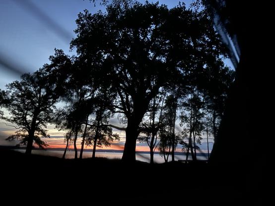 Silhouette von Bäumen und See mit einem Sonnenuntergang im Hintergrund.