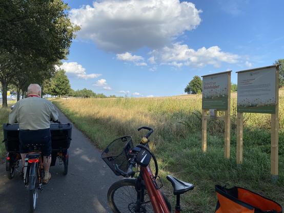 Wir fahren an den Dresdner Blühfeldern vorbei