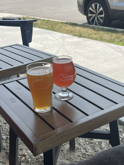 Sylvan Brewing Hazy IPA and Fruit Punch Sour