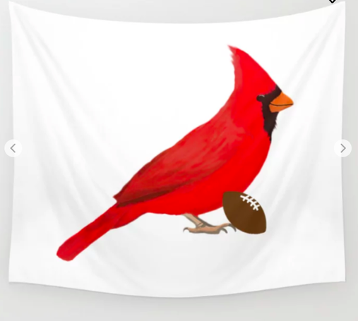 Our cardinal mascot is playing football.
