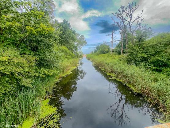 Spokojna rzeka otoczona bujną zielenią i wysokimi drzewami, z częściowo pochmurnym niebem nad głową.