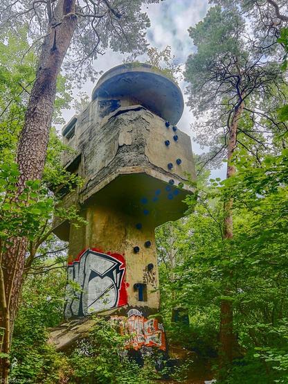 Opuszczona betonowa konstrukcja z graffiti, otoczona gęstymi drzewami i liśćmi.