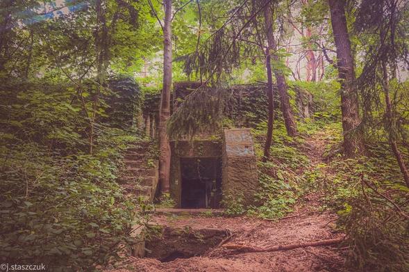 Zarośnięty teren leśny ze starą, częściowo ukrytą betonową konstrukcją. W centrum znajdują się drzwi z klatkami schodowymi po lewej stronie. Graffiti jest widoczne na jednej ze ścian.