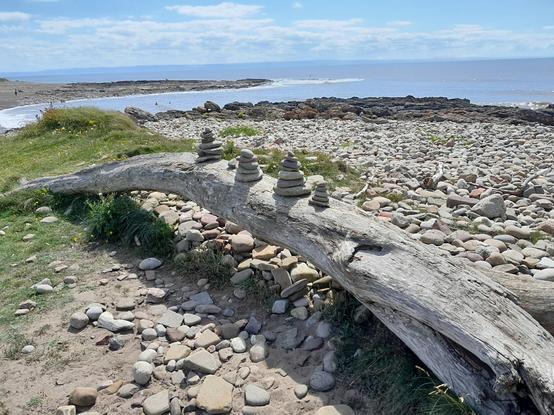 A driftwood tree trunk on a beach of large pebbles and small rocks. The wood forms an arch.  Someone has made four columns of pebbles on the wood.  The sea is visible, in the distance.