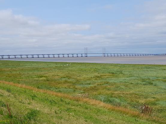 New Severn Bridge, closer view.  A part-suspension bridge (middle section) across the Severn Estuary.  A grassy salt marsh is in the foreground.