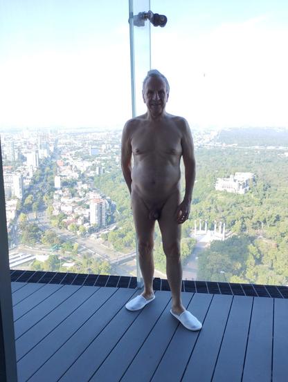 Gerardo, nude, with Chapultepec park in the background.
