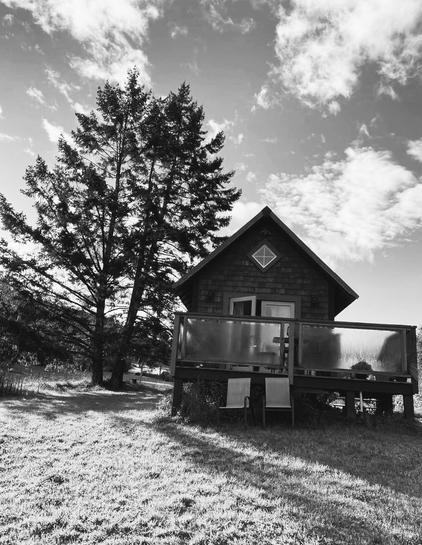 A small cabin with patio deck. Two patio chairs are on ground in front of deck/cabin. Two lathe trees are on the left, behind the cabin.