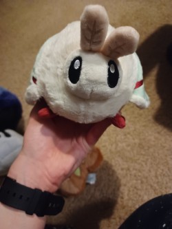 a squishable luna moth plush