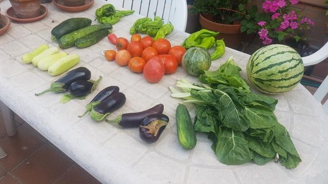 Contenido de la cesta de la semana sobre una mesa.
Hay pimientos verdes, tomates, calabacines, un melón pequeño, una sandía, una lechuga, acelgas, berenjenas y pepinos verdes y blancos.