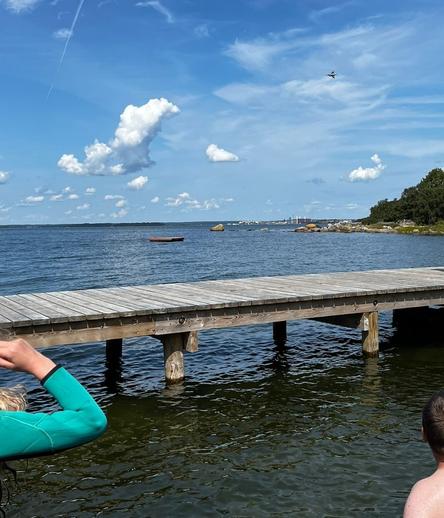 A Swedish Gripen fighter jet making a turn above a beach