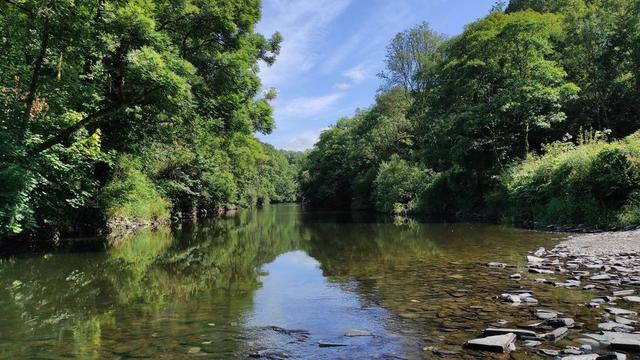 View up wooded river valley