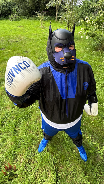 human pup in sweatsuit and boxing gear (boots, trunks and gloves) standing outside in the garden, picture taken from above, right hand up in the air