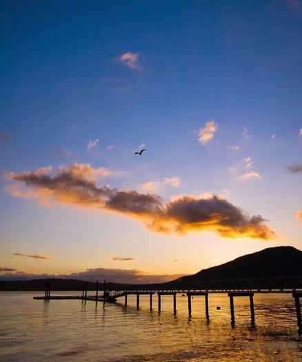 View of raised marine walkway & floating dock landing. Orange & peach sunset skies with scattered clouds. A single seagull is flying above.