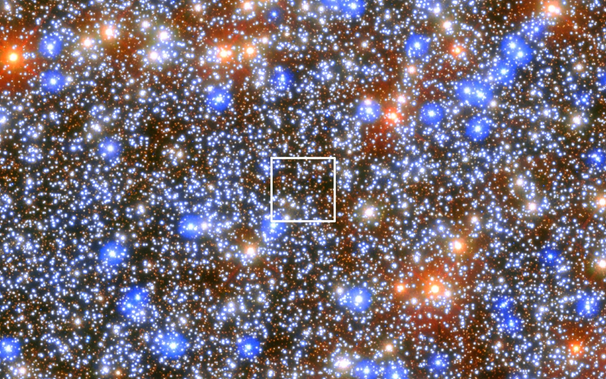 A dense star field of mostly smaller orange and white stars with blue stars and red stars peppered across the image