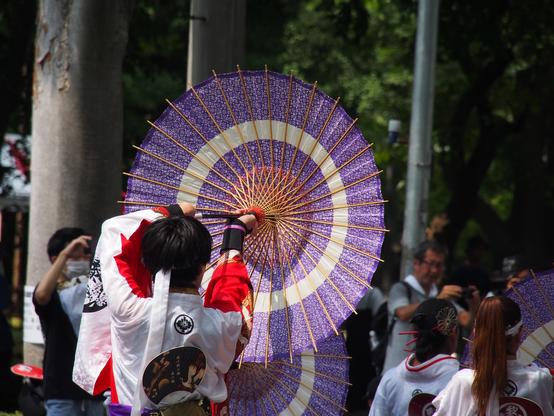 A festival dancer with their back turned to the camera holds a bamboo and paper umbrella above their head facing forward, so we're looking at the underside of the umbrella.

The dancer is wearing an elaborate festival outfit, white back and hair tie, red and gold accents, a purple and gold belt. 

The umbrella is purple with a small white flower pattern, a white ring around the middle, and some red threading. Dozens of thin bamboo ribs radiate out from the centre.