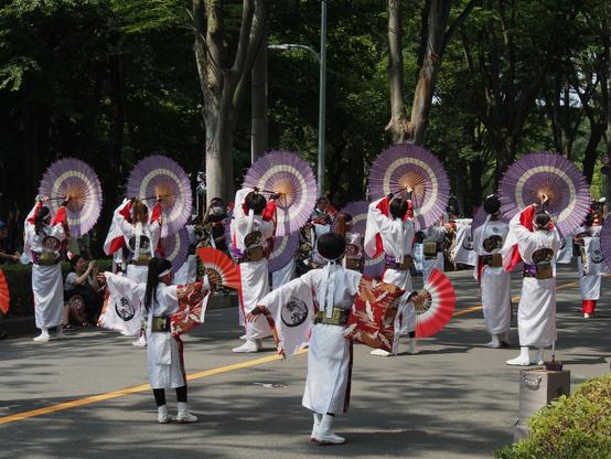 A wider shot with 5 festival dancers seen from behind, standing in a line across a tree lined street, holding up purple paper and bamboo umbrellas ahead of them.

Two children in similar white and red festival dress follow behind, both arms outstretched, and holding a white and red paper fan out in their right hand.