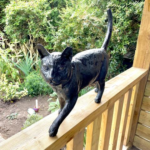 The bronze of Robert the Allotment Cat in the Allotment memorial garden. Robert’s bronze is set as walking on a wooden horizontal rail within the wooden pergola of the garden.