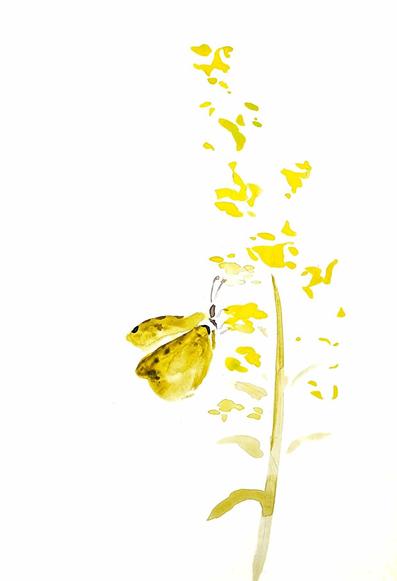 Minimalistic watercolor painting of butterfly
