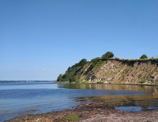 Die Steilküste auf der Halbinseln Holnis, von Westen aus gesehen. Der klare blaue Himmel spiegelt sich in der ruhigen Flensburger Förde, ganz in der Ferne Egernsund, direkt vorne ein wenig Sand-/Kiesstrand, oben auf den Klippen vereinzelt Bäume.