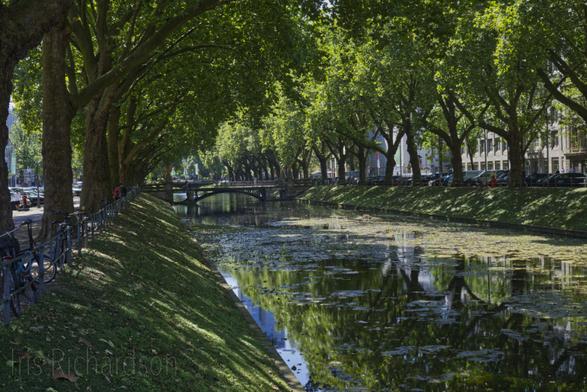 Dussel River Düsseldorf Germany - A serene canal is flanked by lush overhanging trees and a well-kept grassy bank. Two bridges span the water and buildings can be seen through the foliage in the background. Artist Iris Richardson, Gallery pixel and picture