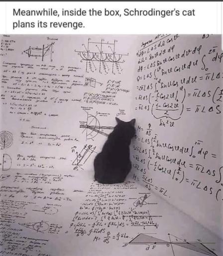 Image of a cat in a corner of a white space, facing the corner. All around the cat, on the walls and floor, someone has handwritten mathematical formulas and diagrams.

Meme text reads, "Inside the box, Schrodiner's Cat plots its revenge.'