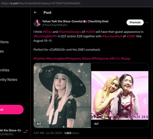Screenshot of the original prediction.