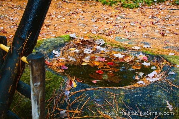 The waterworks in the garden slowly drying up as winter approaches.