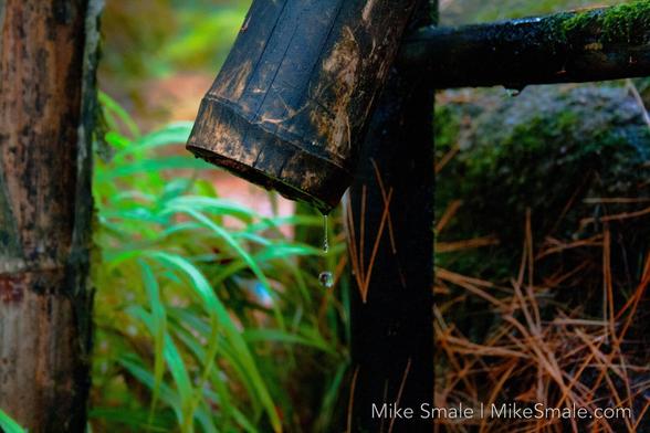 A closeup of a drop of water falling from a fountain in an autumn garden.