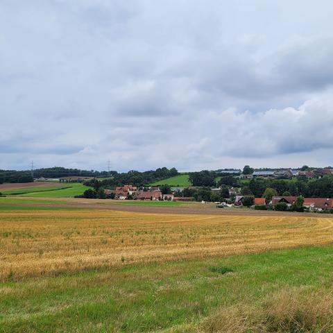 Goldenes Stoppelfeld daneben Grasstreifen. Hinten ein Dorf.