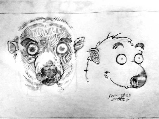 A pencil sketch of the face of a shocked looking mongoose lemur, next to a cartoon drawing of the face of a shocked looking mongoose lemur.