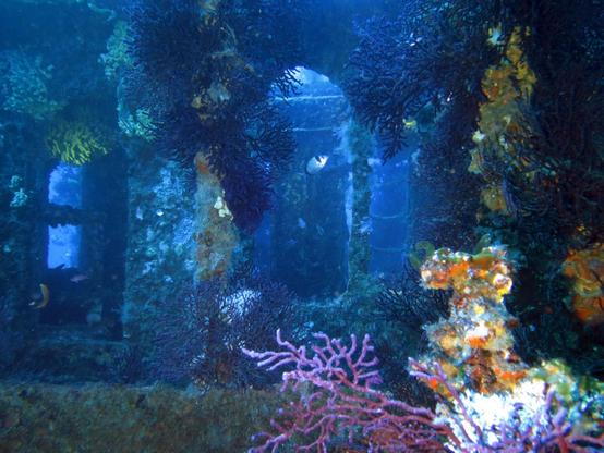 Sur le Grec aka Sagona - https://www.ulysseplongee.fr/blog/le-grec-le-sagona/
#wreck #scuba #plongee #hyeres #photography #underwater #grouper #diver #porquerolles