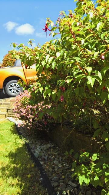 And, #BackToTheFuchsia...