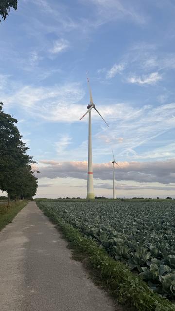 Eine ländliche Landschaft mit einem Weg, einem Grünfeld und zwei Windkraftanlagen unter einem teilweise bewölkten Himmel.