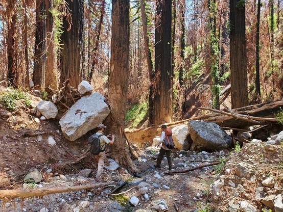 photo - geologists investigating a debris flow in a channel in steep, rocky, forested terrain