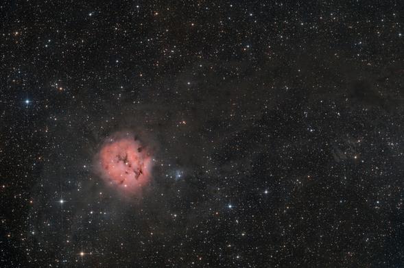 The Cocoon nebula is a pink circular cloud about 1/6 the width of the image located in the bottom-left lower third of the image. A large cloud of interstellar dust surrounds the nebula and extends all the way to the right edge of the image. The background is a dense star field. The bright stars have four distinct diffraction spikes.