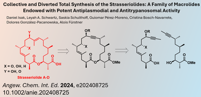 Collective and Diverted Total Synthesis of the Strasseriolides: A Family of Macrolides Endowed with Potent Antiplasmodial and Antitrypanosomal Activity

Daniel Isak, Leyah A. Schwartz, Saskia Schulthoff, Guiomar Pérez-Moreno, Cristina Bosch-Navarrete, Dolores González-Pacanowska, Alois Fürstner

Angew. Chem. Int. Ed. 2024, e202408725
10.1002/anie.202408725
