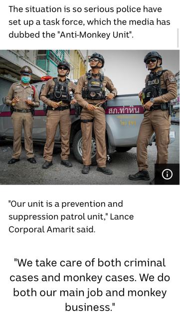 Imaage of thai police in military garb with captuon The situation is so serious police have set up a task force, which the media has dubbed the "Anti-Monkey Unit".
 "Our unit is a prevention and suppression patrol unit," Lance Corporal Amarit said. "We take care of both criminal cases and monkey cases. We do both our main job and monkey business." 

https://www.abc.net.au/news/2024-08-10/anti-monkey-police-unit-thailand-lopburi-attack-steal-food-/104156190