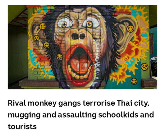 Headline:  Rival monkey gangs terrorise Thai city, mugging and assaulting schoolkids and tourists
