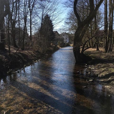 Die Nette am Windmühlenbruch in Lobberich #Nettetal #Viersen #niederrhein #nrw #nordrheinwestfalen #deutschland #germany #see #lake #travel