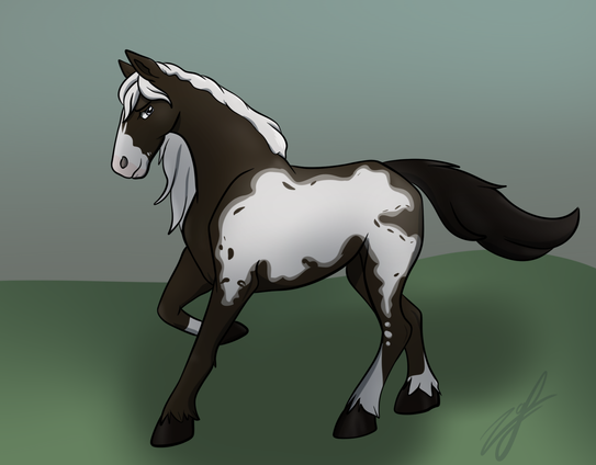 Digital drawing of a Bay Frame Overo Criollo horse. It's a dark brown, with a white splash on its side, and the splash is framed with an in-between color.