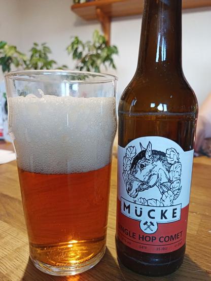 Auf einem Tisch steht ein Glas das mit rötlich braunem Bier gefüllt ist. Daneben steht die leer Bierflasche, aus der das Bier ist