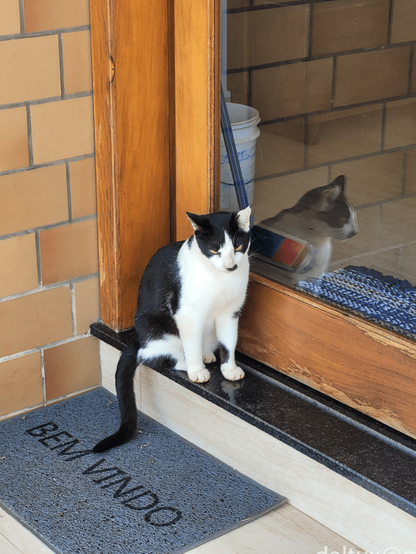 In what looks like a porch, a black and white cat sitting before a sliding glass door with wooden frame. His tail rests on a gray mat with black capital letters meaning "Welcome" in Portuguese.