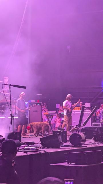 Stick Figure performing in West Palm Beach Florida, with special guest Cocoa the Golden Retriever
