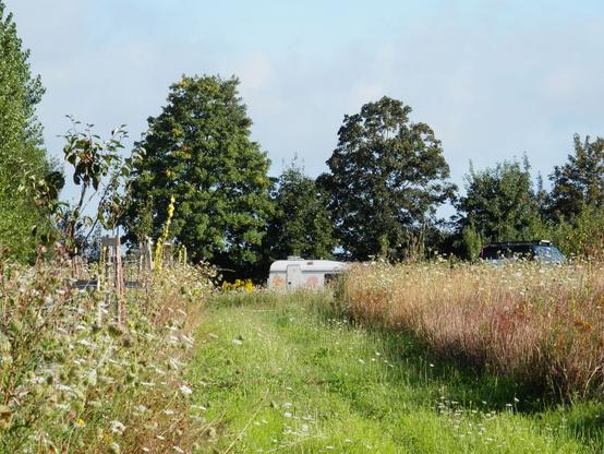 Ein Wohnwagen steht versteckt in einer blühenden hohen Wiese. Ein Grasweg führt darauf zu. Daran entlang stehen Obstbäume, im HIntergrund hohe Straßenbäume