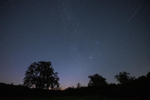 The clear night sky over an orchard meadow. A few trees stand out as silhouettes from the ground. In the sky, the stars in the region of the constellation Taurus can be seen, with the Pleiades and the bright planet Jupiter as prominent focal points. The long trail of a shooting star in the upper right part of the image.