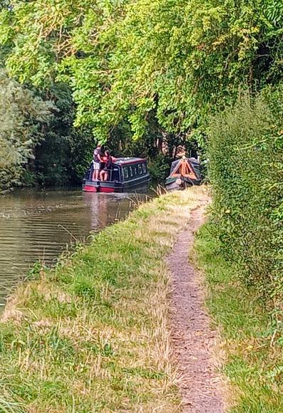 The Erica moored alongside some venerable ash trees is passed by a holiday boat on a glorious summer morning.