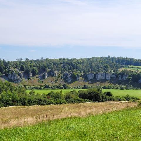 Blick zu den Felsen. Dahinter Wald